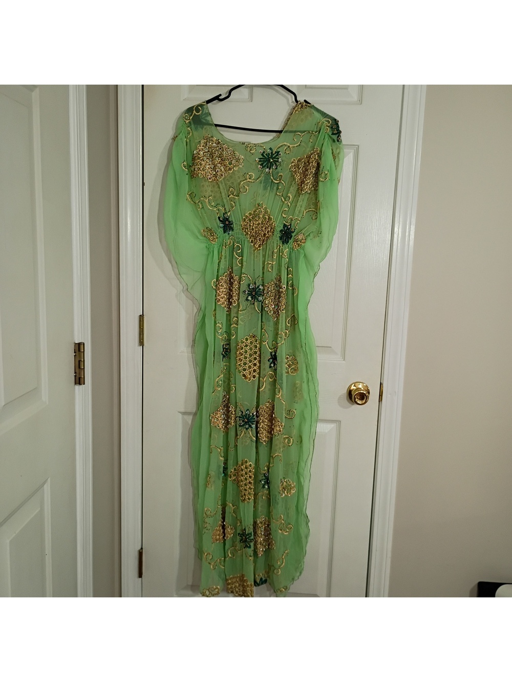 Green Sheer Embroidered Evening Dress with Gold and Multicolor Sequin Detail